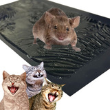 Ratoeira Adesiva Super Adesivo