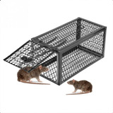 Ratoeira Armadilha Para Ratos E Ratazanas
