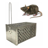 Ratoeira Armadilha Pega Rato Tipo Gaiola Mola Reforçada