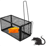 Ratoeira Estilo Gaiola Armadilha Pega Rato Roedores
