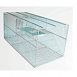 Ratoeira Gaiola De Captura Para Ratos Camundongos E Ratazanas