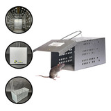 Ratoeira Gaiola Grande C Mola Armadilha Pega Rato Ratazana