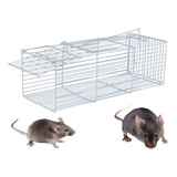 Ratos