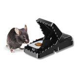 Ratoeira Moderna Pega Mata