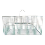 Ratoeira Para Ratos  Camundongos  Etc