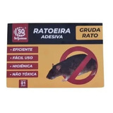 Ratoeira Pega Rato Adesiva Cola Rato