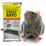 Colly