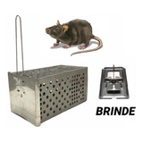 Ratoeira Tipo Gaiola Reforçada Pega Rato