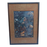 Rdf07713 Quadro