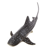 Realista Tubarão baleia Modelo De Brinquedo