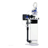 Bivolt