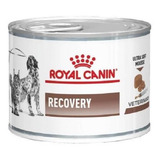 Recovery Alimento Royal Canin Veterinary Diet Canine Para Cã