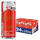 Red Bull Energético Energy Drink Melancia Pack De 24 Latas 250 Ml