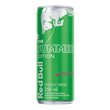 Red Bull The Summer Edition Pitaya 250ml Com 4 Unidades