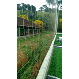 5mx20m