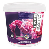 Reeflowers Sal Para Aquário Caledonia Reef Salt Balde 22 5kg