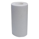 Refil Cartucho Liso Polipropileno Bigblue 10 20micras