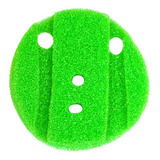 Fina