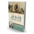 Reflexão Sobre Jesus E Suas Leis - Vol. 1, De Menezes, Bezerra De / Periotto, Chico. Editora Elevaçao, Capa Mole