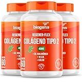 Regener Flex Colágeno Tipo 2 40mg ácido Hialurônico M S M Cálcio Biogens Kit 3x 60 Cápsulas