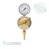 Regulador De Pressão Carbografite Posto Glp gn Série 800