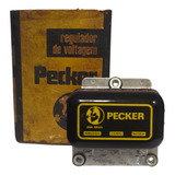 Regulador Voltagem Caminhao 48