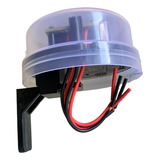 Bivolt