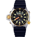 Relogio Citizen Aqualand Tz10137p