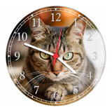 Relógio De Parede Gato Pet Shop Animais Quartz 40 Cm Q005