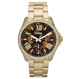 Relogio Fossil Feminino Am4498
