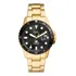 Relógio Fossil Masculino Blue Dourado - Fs6035/1dn