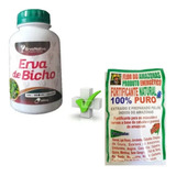 Remedio De Hemorroidas Verizes