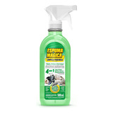 Removedor Limpador A Seco Espuma Magica 4 1 Proauto 500ml