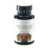 Inovet