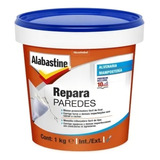 Repara Paredes 1kg Preenche
