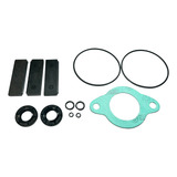 Reparo 3 Palhetas Bomba Vacuo Exaustor D10 d20 d 40 92 96