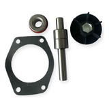 reparo bomba rolamento perkins massey