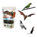 Morcegos