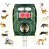 Repelente Solar C som Afasta Animais Cão Gato Ave Ratos