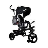 Replay Kids Triciclo Infantil Bebê Waygo Com Pedal Puxador 2 Em 1 Frente Ou Costas Cinto 3 Pontos Capota Porta Copos Objetos E Bolsa Até 25kgs Cinza
