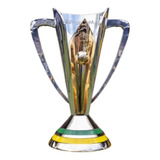 Replica Taça Super Copa Do Brasil 2023 Palmeiras quadro