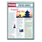 Resumao Feng