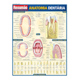 Dentaria