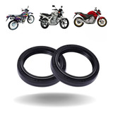 Retentor Bengala Cb 300 Cbx 250 Xr 200 Fazer 250