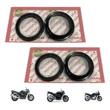 Retentor Bengala Guarda Pó Bandit 1200 1250 Kit
