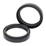 Retentor De Garfo Br Parts Crf 450 02 08 47x58x10 par 