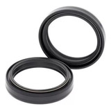 Retentor De Garfo Br Parts Yz 125 96 03 46x58x10 par 