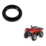 Retentor Diferencial Traseiro L e Honda Fourtrax 420 08 13