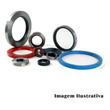 Retentor Roda 646520 Fusca Traseiro 1971 1972 1973 Sabo