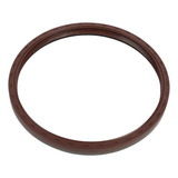 Retentor Roda Traseira Para Iveco Stralis 40101733 40101730